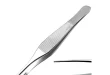 Adson Forceps