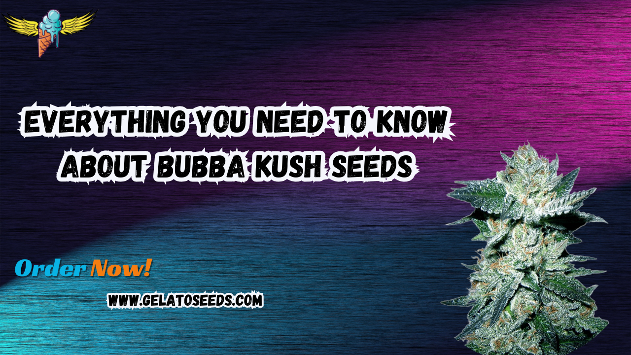 Bubba Kush seeds