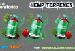 Hemp Terpenes