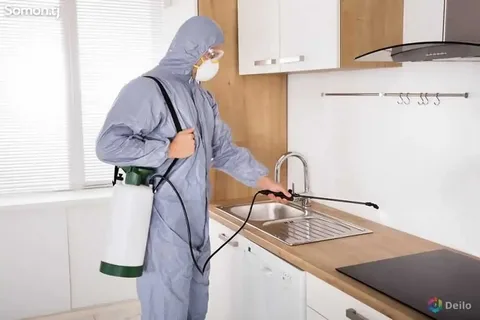 Pest Control Lahore and Guide to Pest Control Near Me