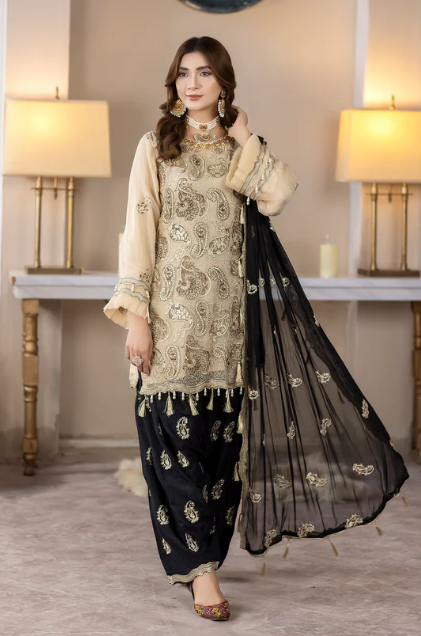 Pakistani Clothes