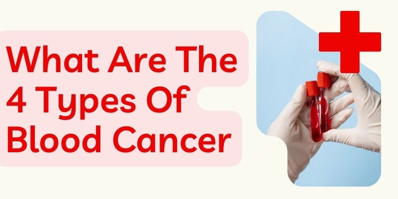 What Are The 4 Types Of Blood Cancer? 2024
