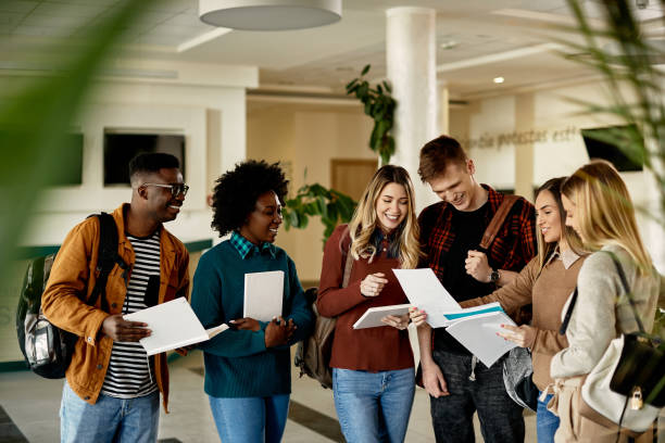 it management assignment help online