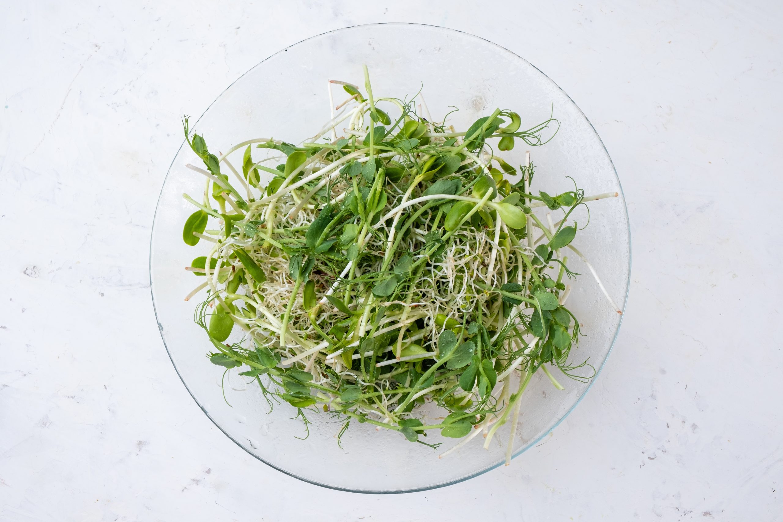 Fresh, Healthy Premium Microgreens: Locally Grown in Peoria