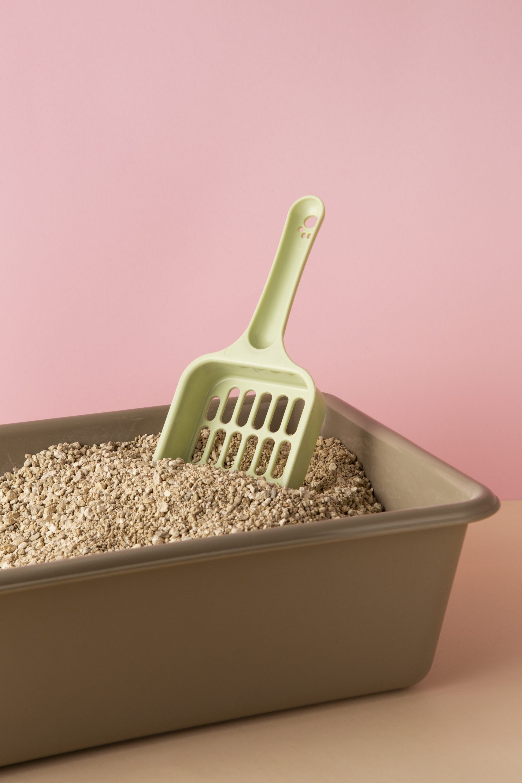 Best Cat Litter Mat