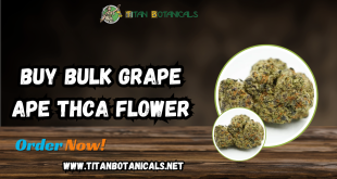 Buy Bulk Grape Ape THCA Flower