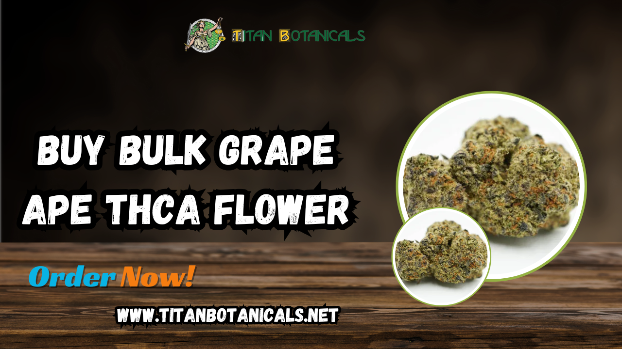 Buy Bulk Grape Ape THCA Flower