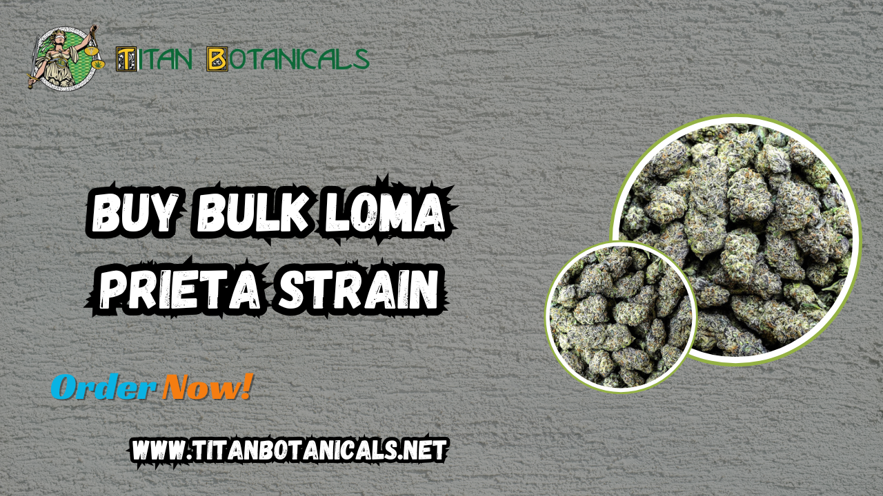 Buy Bulk Loma Prieta Strain
