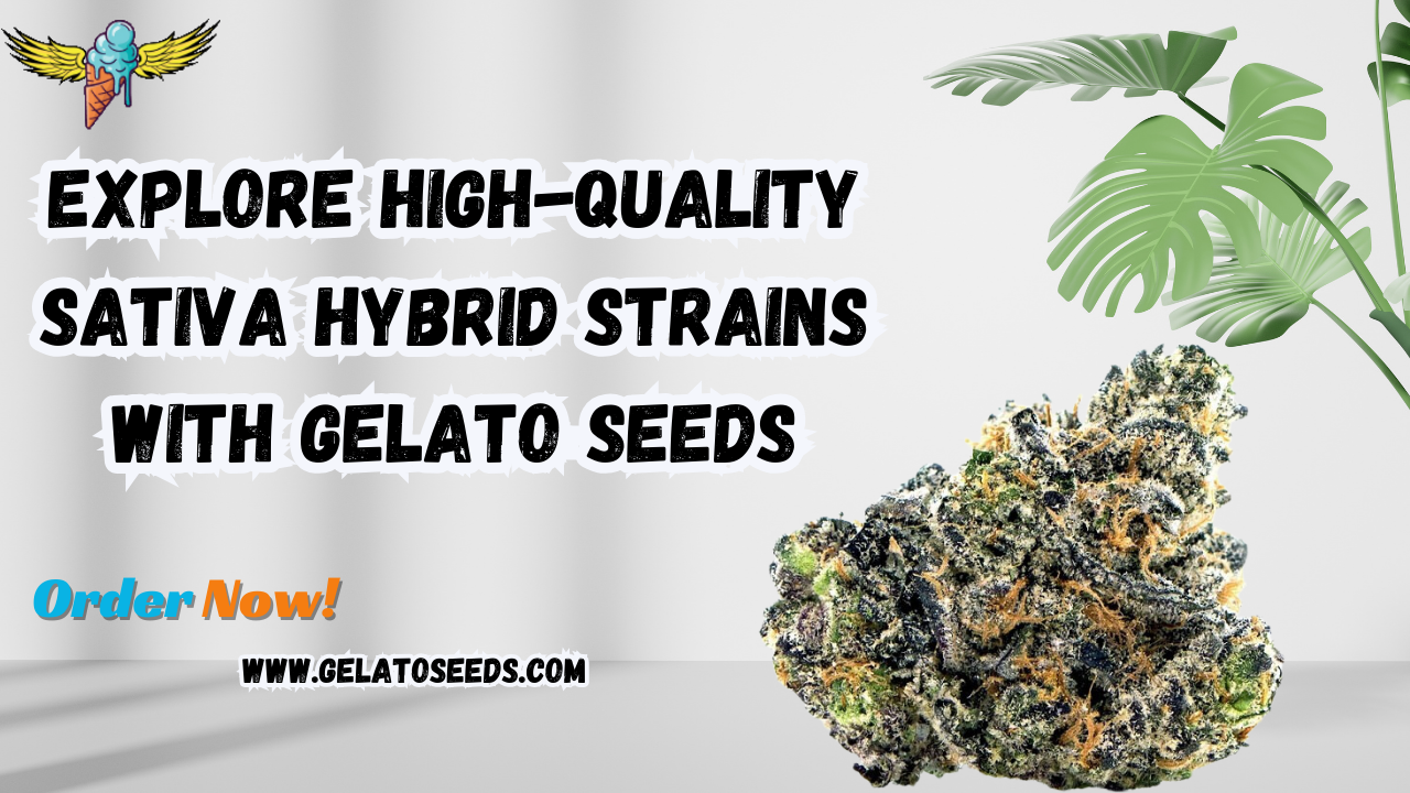sativa hybrid strains