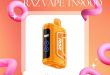 Orange Raspberry – RAZ Vape TN9000