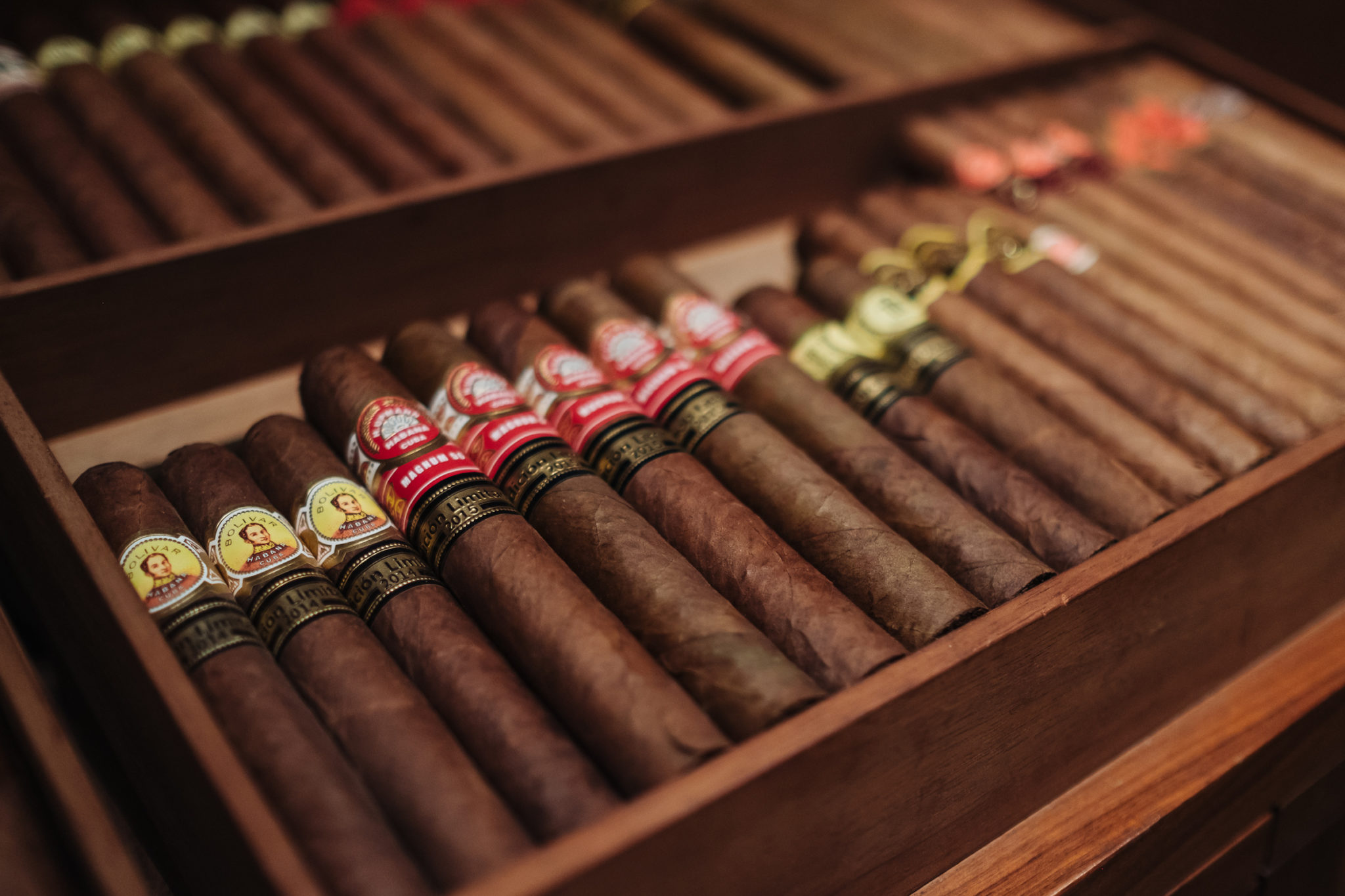 Cigar Shop Dubai