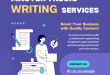 master thesis writing service