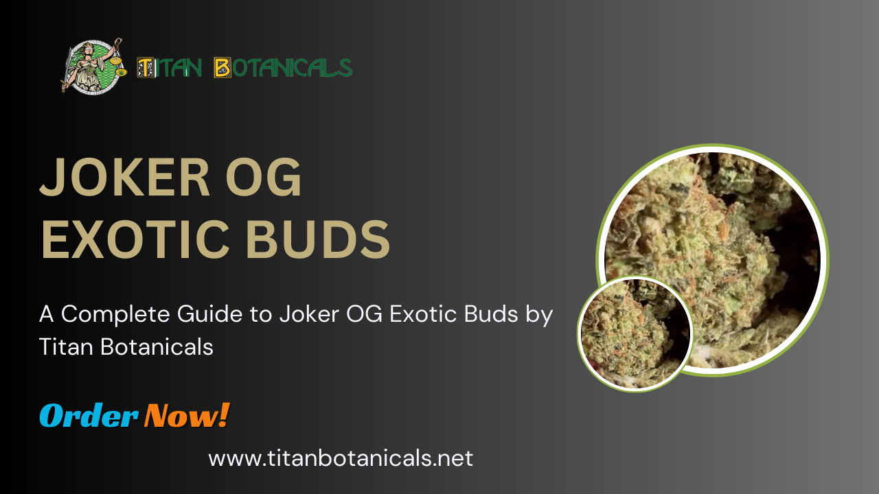 Joker OG Exotic Buds