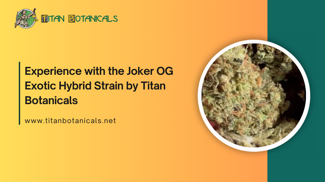 Experience with the Joker OG Exotic Hybrid Strain by Titan Botanicals