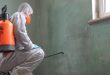 Mold Remediation Services