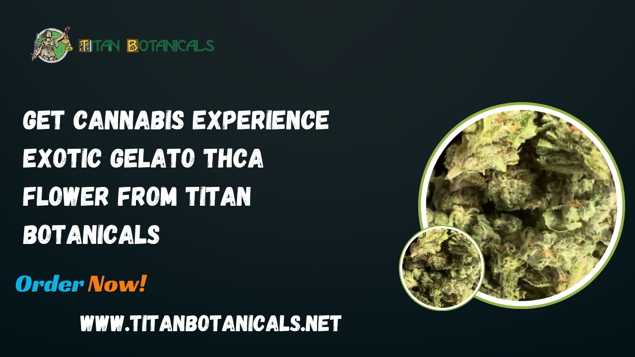 Exotic Gelato THCA Flower
