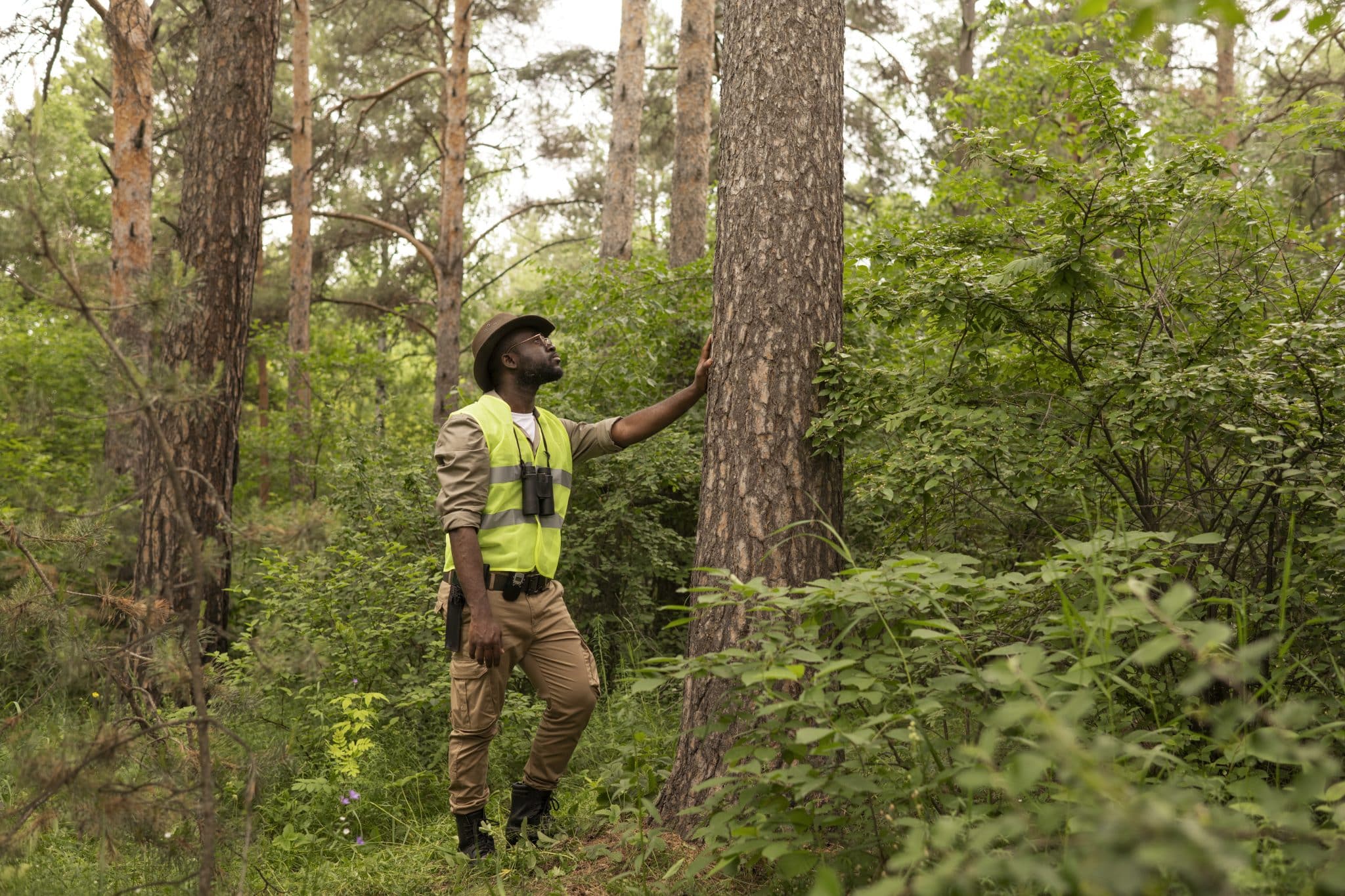 Affordable Tree Services