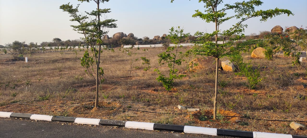 Open Plots in Amaravati