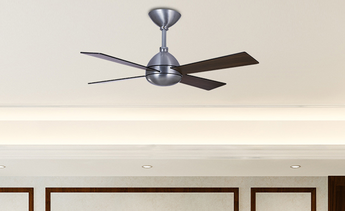 Fancy Fans