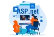 asp.net development