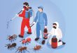 Termite control services