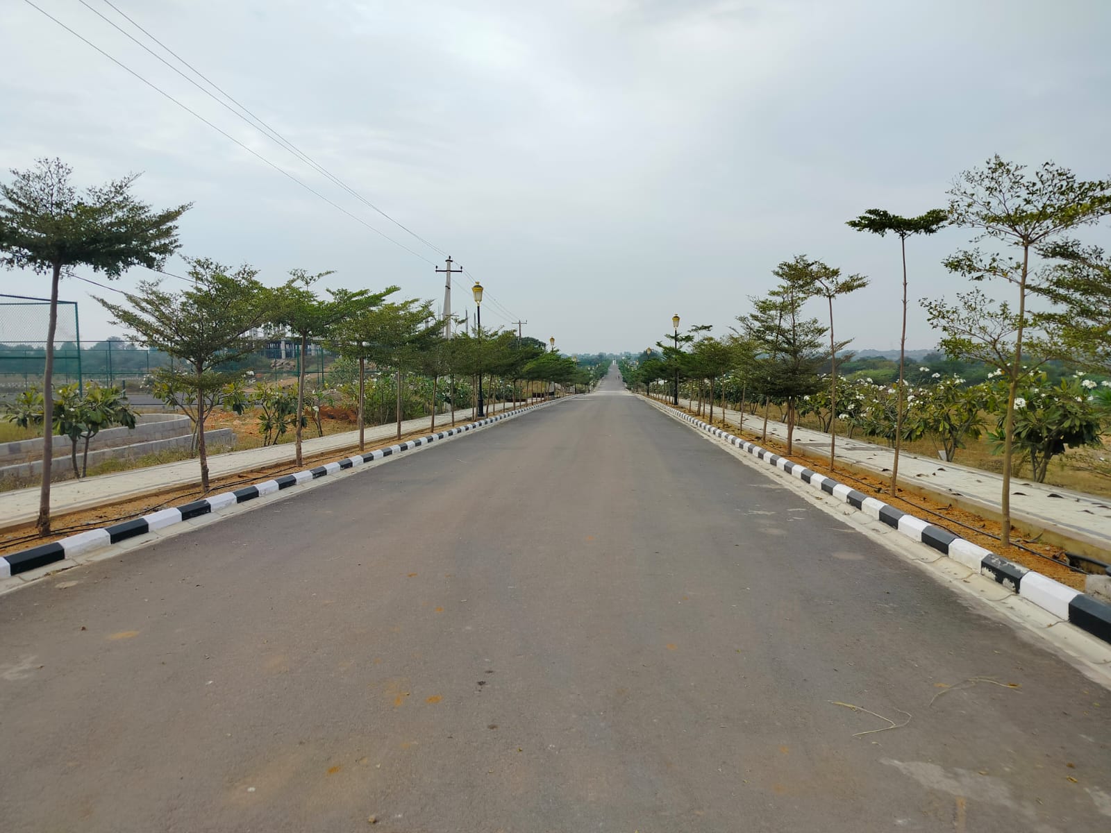 Open Plots in Kaza
